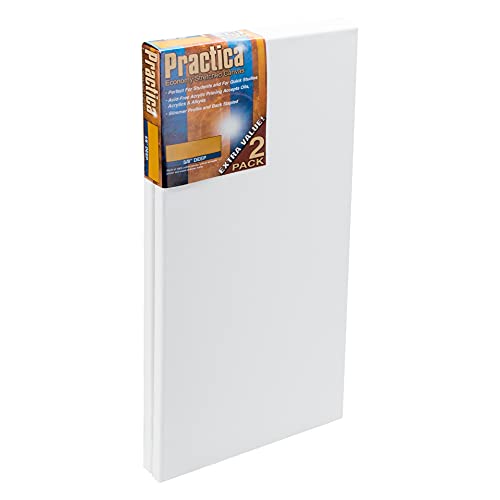 Practica Economy Stretched Cotton Canvas - Acid-Free Acrylic Primed Canvas for Acrylics, Pastels, Graphite, & More! - [2-Pack - 12x24] - size: 12x24"
