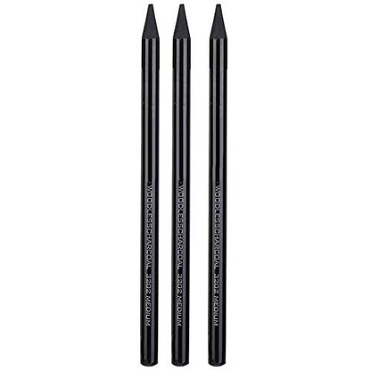 Professional Pure Carbon Sketch Pencil Set Hard Medium Soft Woodless Charcoal Drawing Pens Painting Supplies for Artists Students Teens Beginners