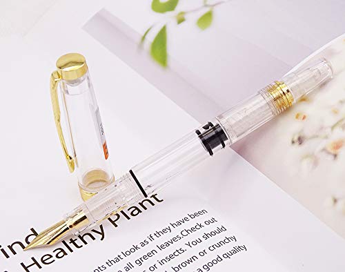 Lanxivi Yongsheng 3011 Demonstrator Clear Classical Fountain Pen Fine Nib Arrow Clip, Piston Filling System, Gold Trim, Set of 4 Pieces in transparent Color - color: 3011, F