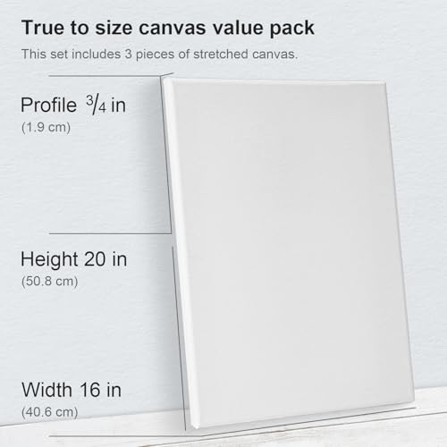 PHOENIX Professional Stretched Watercolor Canvas - 16x20 Inch/3 Pack, 100% Cotton Water Color Canvases for Painting, 8 Oz. / 260g White Blank Medium Texture Canvas for Water Based Paints - size: 16"x20", style: Framed Canvas