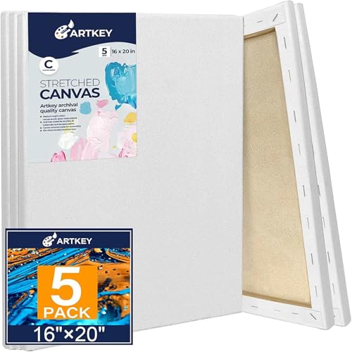 Stretched Canvases for Painting 16x20 Inch 5-Pack, 10 oz Triple Primed Acid-Free 100% Cotton Blank Canvas, Rectangular Canvas for Oil Paint Acrylics Pouring & Wet Art Media, Pour Painting - size: 16"x20"(5-Pack), style: Studio