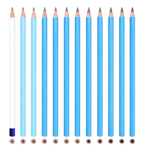 12 Graphite Pencils Professional Sketching Drawing Set,No Duplicates - color: Black