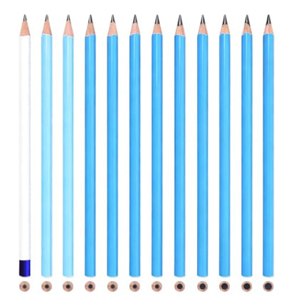 12 Graphite Pencils Professional Sketching Drawing Set,No Duplicates | 14B(soft) to H(hard),Charcoal Pencils,Art Supplies for Sketching Shading Blending, Gifts for Artists Adults Beginners - color: Black