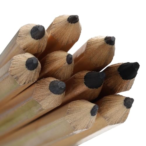 PRO ART 3077 10-Piece Dry Media Pencil Set,Black - style: Dry Media Pencils 10 Piece Set