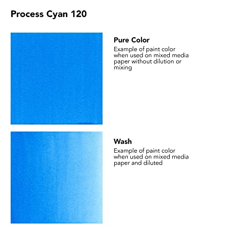 Daler Rowney FW Acrylic Ink Bottle Process Cyan - Versatile Acrylic Drawing Ink for Artists and Students - Permanent Calligraphy Ink - Archival Ink for Illustrating and More - color: Process Cyan