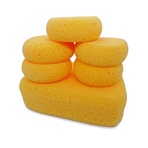 Hydrophilated Synthetic Sponges 6pc, Superior Absorbency, Painting & Crafts