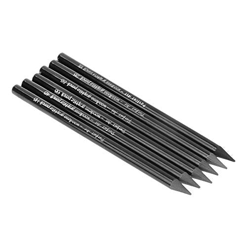 6 PCS Professional Woodless Charcoal Pencil Artist Sketching Drawing Pencil Graphite Sketch Pencils Charcoal Sticks Art Pencil Set for Drawing Shading Sketching 6 Grades of Graphite HB 2B 4B 6B 8B EE