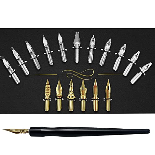 Calligraphy Pens Set - 17 Pieces Stainless Steel Calligraphy Pen Nibs with 1 Piece Nib Holder for Writing Painting Signing