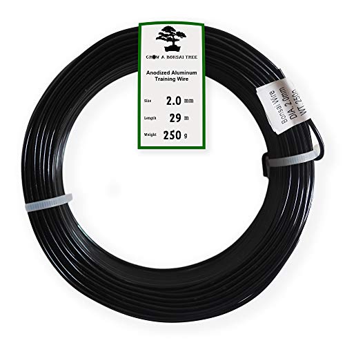 Anodized Aluminum 2.0mm Bonsai Training Wire 250g Large Roll (95 feet) - Choose Your Size and Color (2.0mm, Black) - color: Black, size: 2.0mm
