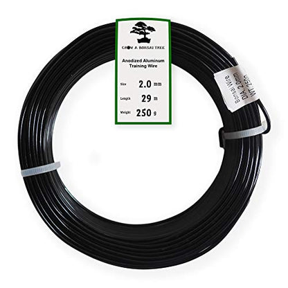 Anodized Aluminum 2.0mm Bonsai Training Wire 250g Large Roll (95 feet) - Choose Your Size and Color (2.0mm, Black) - color: Black, size: 2.0mm