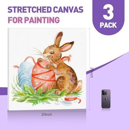 ESRICH 20x20 Stretched Canvas for Painting, 3 Pack Square Canvas for Painting Primed Acid-Free Framed Blank Canvas, Art Canvases for Beginners & Artists to Paint Oil, Acrylic, Pouring Painting. - size: 20x20in-3Pack