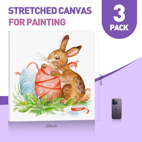 ESRICH 20x20 Stretched Canvas for Painting, 3 Pack Square Canvas for Painting Primed Acid-Free Framed Blank Canvas, Art Canvases for Beginners & Artists to Paint Oil, Acrylic, Pouring Painting. - size: 20x20in-3Pack