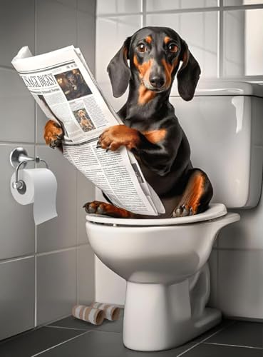 Diamond Art Kits for Adults,Dachshund Diamond Painting Kits 12 x 16in - color: DP03322