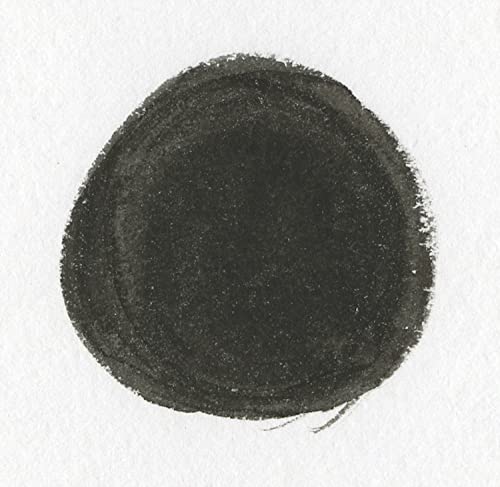 Higgins Pigmented Drawing Ink, Black, 1 Ounce Bottle (44021) - color: Black