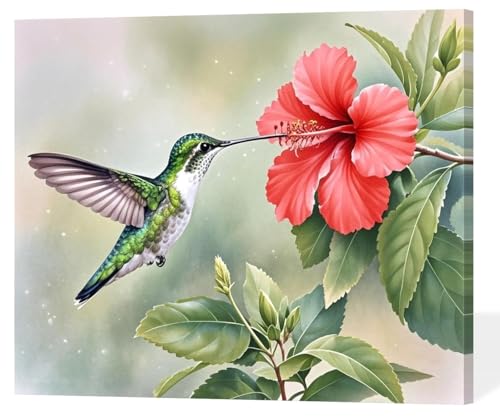 ACANDYL Paint by Numbers Kit for Adults Paint by Number on Canvas 16x20 | Hummingbird Painting by Number Easy Paint by Numbers Acrylic Oil Number Painting for Adults Wall Art Home Decor - color: Hummingbird B