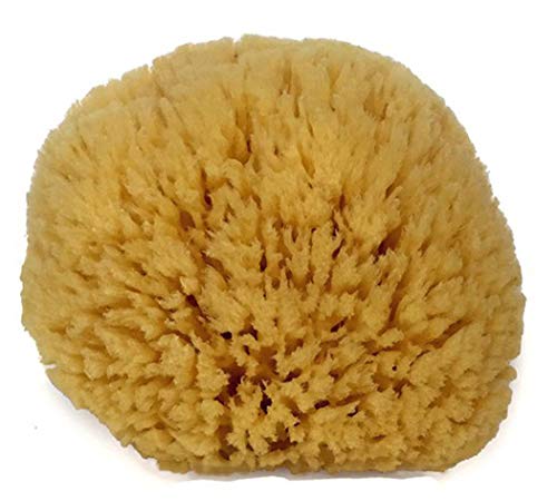 Natural Sea Sponge 6-7" by Spa Destinations Creating The At-Home Spa Experience