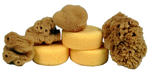 Creative Hobbies® Synthetic and Natural Silk Sponges for Painting, Crafts, Ceramics, Pottery and More, Value Pack of 7 Sponges