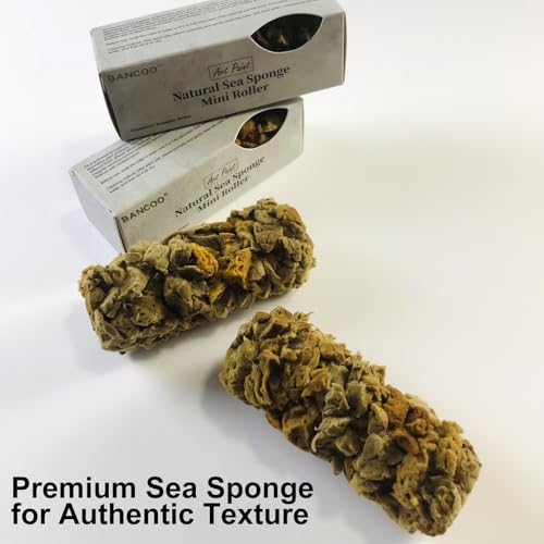 Natural Sea Sponge for Painting, 4" Texture Paint Decorative Roller | Natural Sea Sponge, Texture Paint Roller, Vivid Wall Texture, Ideal for DIY & Professional Decorative Ceiling & Wall Painting - style: MN488