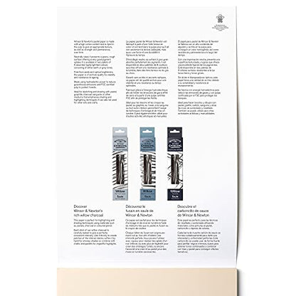 Winsor & Newton Professional Pastel Paper Pad, 9" x 12", 24 sheets, 160gsm, Earth Colors - color: Earth, style: 9" x 12"