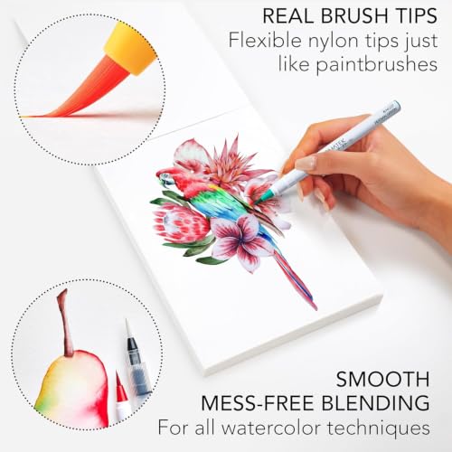 CHROMATEK 22 Watercolor Pens Set | 2 Aquapens & 20 Unique Colors | Brush Pens | Easily Blendable, Vivid, Smooth | Professional Art Supplies - style: 22 Pen Set