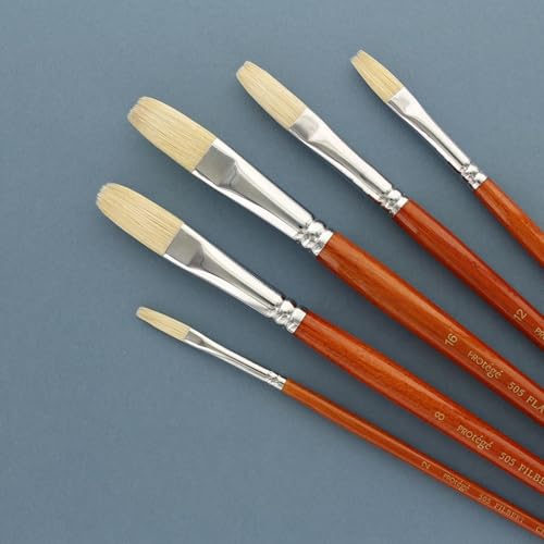 Protege Brush Set Hog Bristle Long Handle 5pc