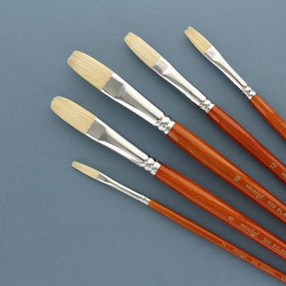 Protege Brush Set Hog Bristle Long Handle 5pc