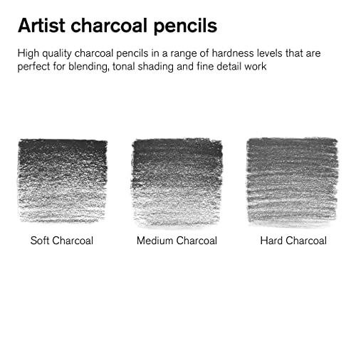 Winsor & Newton Studio Collection, 6 Count, Charcoal Pencils | Mixed Grade Charcoal Pencils, Wooden Barrels, On-The-Go Tin, High Quality Core Binder, Break-Resistant Cores & Points - style: 6 Charcoal Pencils