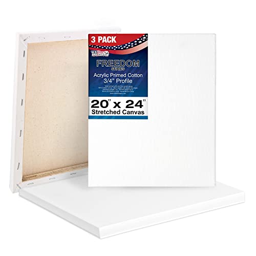 U.S. Art Supply 20"x24" Stretched Canvas for Painting, 3/4" Profile, 3-Pack - size: 20" x 24"