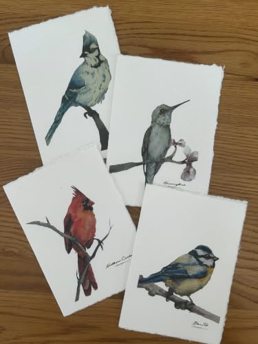 WANDERINGS Handmade Deckle Edge Blank Greeting Cards & Envelopes with Bird Art - 300 GSM Paper– 20 Cards (5 Each of 4 Varieties) for Invitations, Thank Yous, Get Well and Birthday Cards –5" x 7" - color: Bird Art