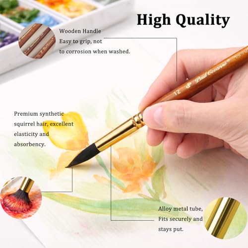 Watercolor Paint Brushes Professional, 11PCS Synthetic Squirrel Watercolor Brushes Set with Roller Case for Travel- Extended Point, Flat, Round Pointed, Cats Tongue, Dagger (11, Brown)