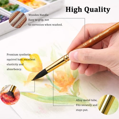 Watercolor Paint Brushes Professional, 11PCS Synthetic Squirrel Watercolor Brushes Set with Roller Case for Travel- Extended Point, Flat, Round Pointed, Cats Tongue, Dagger (11, Brown)