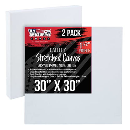 U.S. Art Supply X-Large Stretched Canvas for Painting 30x30 inch Gallery Depth 1-1/2" Thick, 2-Pack - 12oz Acrylic Gesso Triple Primed, Professional Artist Quality, 100% Cotton - Oil, Pouring Paint - size: 30" x 30"