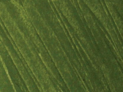 Jack Richeson Shiva Oil Paintstik, Meadow Green