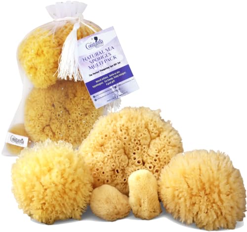 Natural Sea Sponge 5pk Spa Gift Set Bath Shower & Facial Care, Premium Bag | 5 assorted sizes for bath, shower & face. Hypoallergenic, kind on skin. Gift for moms, brides & teens. Comes in premium bag. - style: 5 Piece set in bag