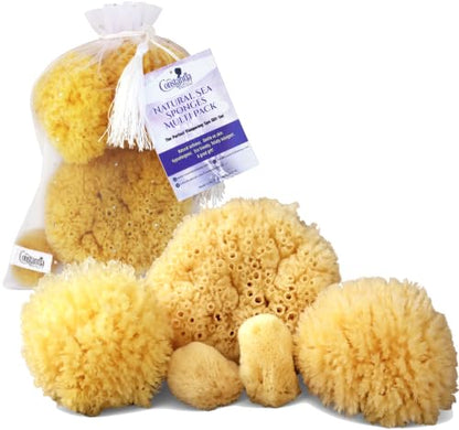 Natural Sea Sponge 5pk Spa Gift Set Bath Shower & Facial Care, Premium Bag | 5 assorted sizes for bath, shower & face. Hypoallergenic, kind on skin. Gift for moms, brides & teens. Comes in premium bag. - style: 5 Piece set in bag