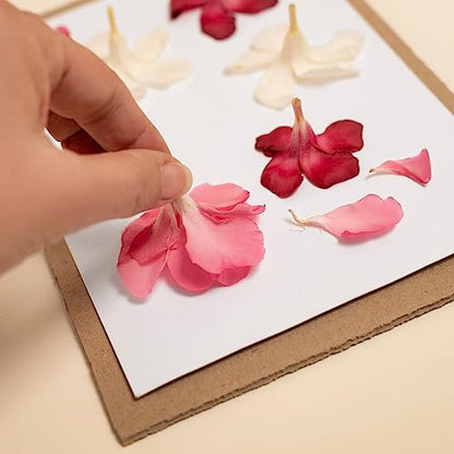PATIKIL 12"x8"x0.2" Foam Handicraft Sheets, 1 Set/6 Sheet Soft Crafting Sponge Foam Paper Set for DIY Flower Press Art Handicraft, White - size: 12" x 6"