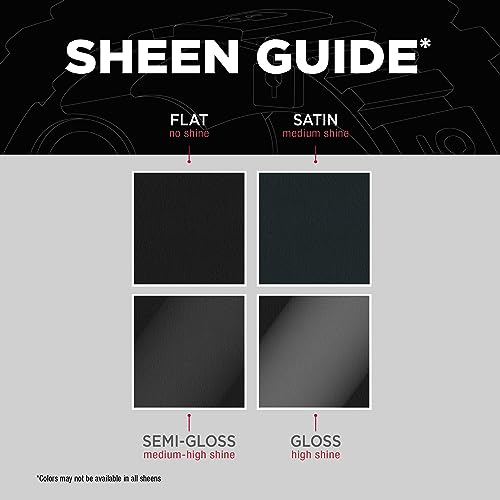 Rust-Oleum Stops Rust Custom 5-in-1 Spray Paint, Satin Black - color: Satin Black, size: 12 Ounce (Pack of 1)