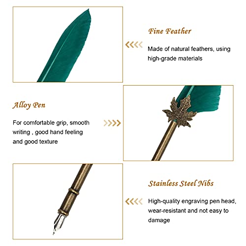 AHIER Quill Pen and Ink Set, Feather Pen Quill Pen Set Includes 5 Steel Replacement Nibs,Pen Nib Base and Dip Ink Bottle for Antique Calligraphy - color: Green