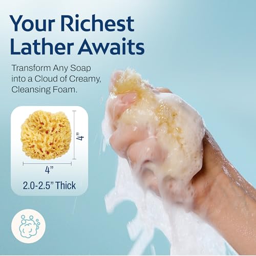 HartFelt Delicate Skin Wool Sea Sponge 4 in | Real Natural Sponges for Body and Face Gentle Care | Luxurious Lather - size: 1 Count (Pack of 1), style: Wool Sea Sponge