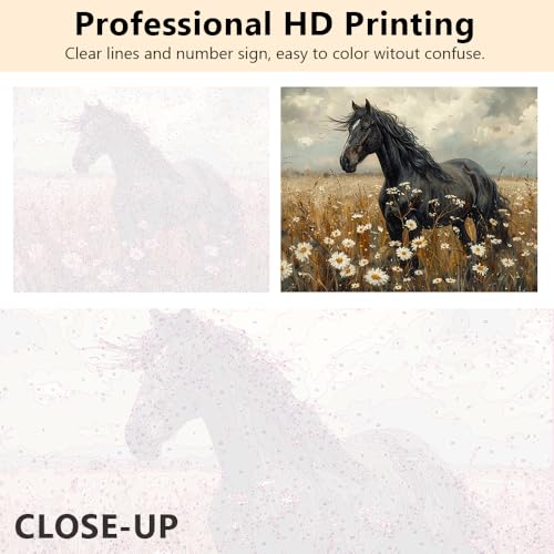 TUMOVO Black Horse in White Flower Paint by Numbers Craft Kit for Adults - color: Horse