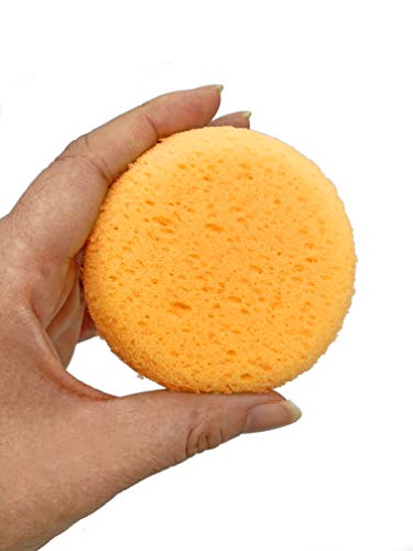 Hydrophilated Synthetic Sponges 6pc, Superior Absorbency, Painting & Crafts