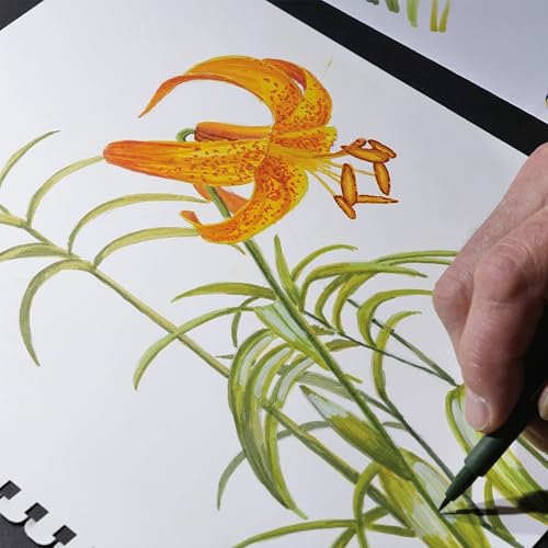 Koh-I-Noor 5.5" x 8.5" Bristol Smooth Bright White Paper Pad with In and Out Pages, 270 GSM, Side Wire-Bound, 20 Sheets per Pad (26170410413) - color: Smooth Bright White, size: 5.5 x 8.5 Inches