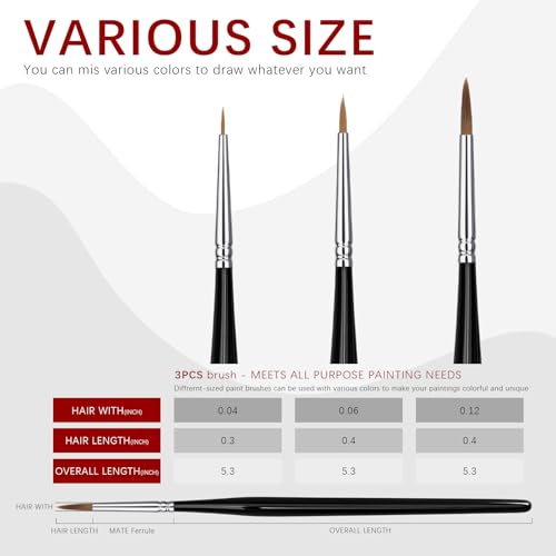 Paint Brushes Set-Sable Watercolour Brushes Round Point Tip Paint Brush Set for Watercolor, Acrylic, and Oil Painting