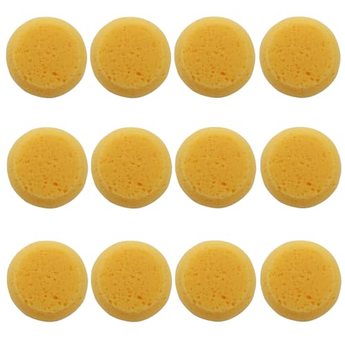 12 Pack Round Pottery Sponges | High Absorption, Horse Tack Cleaning, Leather Care, Painting & Kitchen