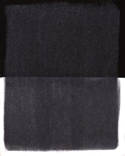 PanPastel Artist Pastels by GOLDEN, Pearl Medium Black (Fine), 2.44” / 62mm Pan Diameter, Professional Artist Pastels, Unique Pan Format (cake-like) - color: Pearl Medium - Black FINE, size: 1 Count (Pack of 1)