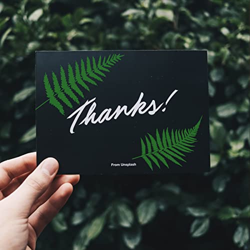 OLYCRAFT 2Pcs Self-Adhesive Silk Screen Printing Stencil Leaf Stencils Plant Mesh Transfer Stencil Reusable Silk Screen Stencils for Painting on Wood T-Shirt Fabric - 7.7x5.5 Inch - color: Fern Leaf