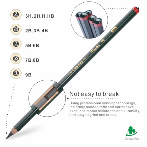 Pasler Professional Graphic Sketching Drawing Pencils 12 Count (2B) - style: 2B