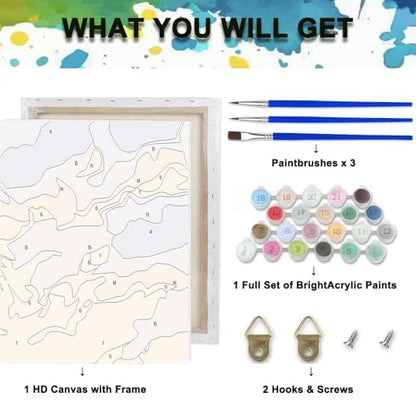 Paint by Numbers Kit for Adults,Gnome DIY Paint by Number With Frame | Paint by Number for Beginner,Adult Paint by Number,HD Color Canvas,DIY Tool Kits,Stress Relief Craft,Great Gift,10X10 inch - color: MT6296