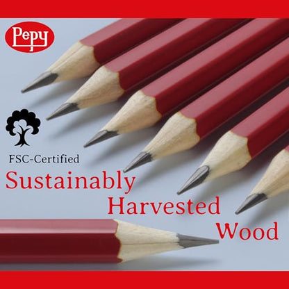 Pepy Graphite Professional Drawing Pencils - Set of 12 8B Pre-Sharpened Black Lead Pencils; Perfect for Drawing, Sketching and Shading, Graphic and Fine Art - style: Set of 12 - 8B