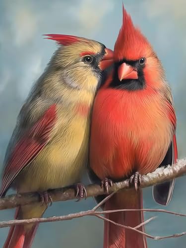 Diamond Painting Kits for Adults Beginners,5D Bird Diamond Art Kits - color: KM1163-1
